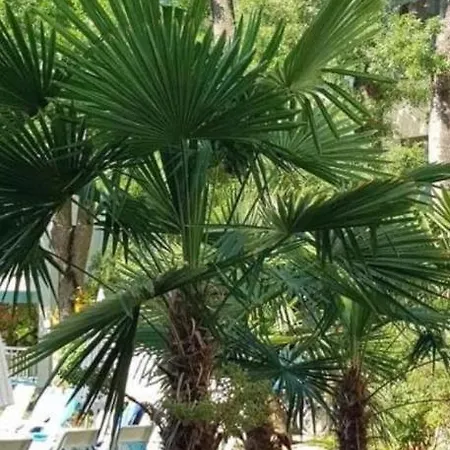 Yassen Village شقة *
